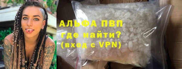 прущие грибы Елабуга