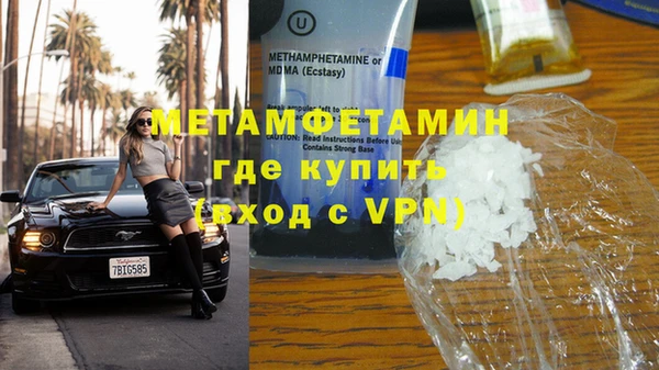 прущие грибы Елабуга