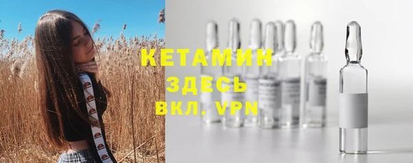 прущие грибы Елабуга