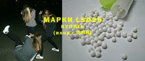 прущие грибы Елабуга