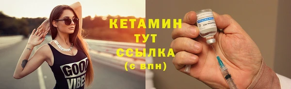 твердый Ельня