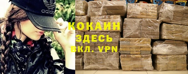 твердый Ельня