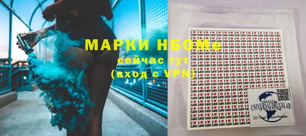 прущие грибы Елабуга