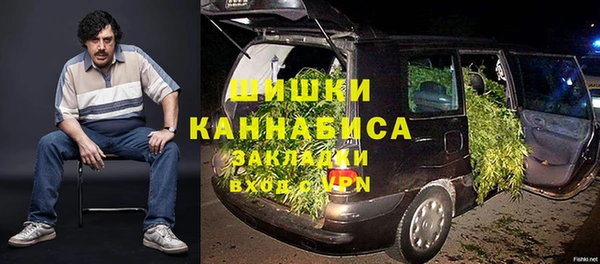 прущие грибы Елабуга