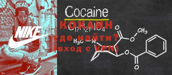 прущие грибы Елабуга
