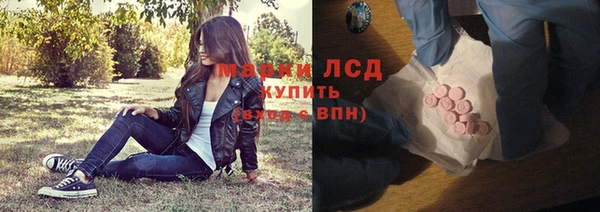 прущие грибы Елабуга