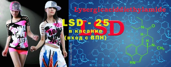 прущие грибы Елабуга