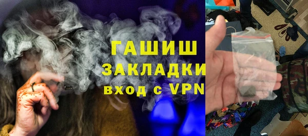 прущие грибы Елабуга