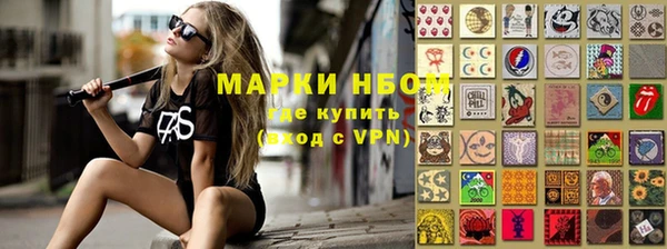 твердый Ельня