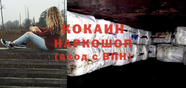 твердый Ельня