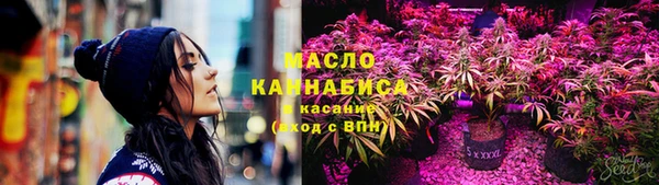 твердый Ельня