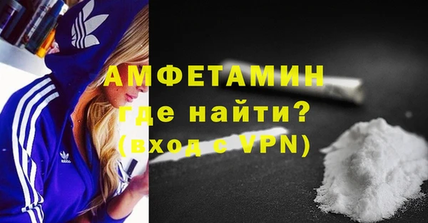 прущие грибы Елабуга