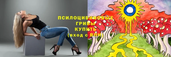 прущие грибы Елабуга